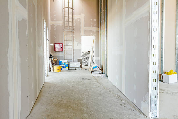 Best Mold Damage Restoration  in Valley Center, CA